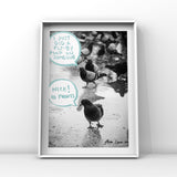 10 Points Art by Ana Luca