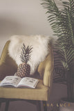 Pineapple Reads Art by Ana Luca