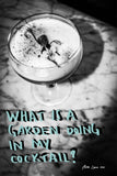 Garden Cocktail Art by Ana Luca