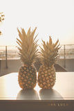 Pineapples Watching Sunset Art by Ana Luca