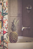 Pineapple Showers Art by Ana Luca