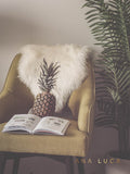 Pineapple Reading Art by Ana Luca