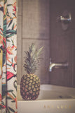 Pineapple Showers Art by Ana Luca