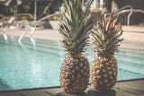 Pineapples At The Pool Art by Ana Luca