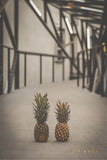 Pineapples Walking Art by Ana Luca