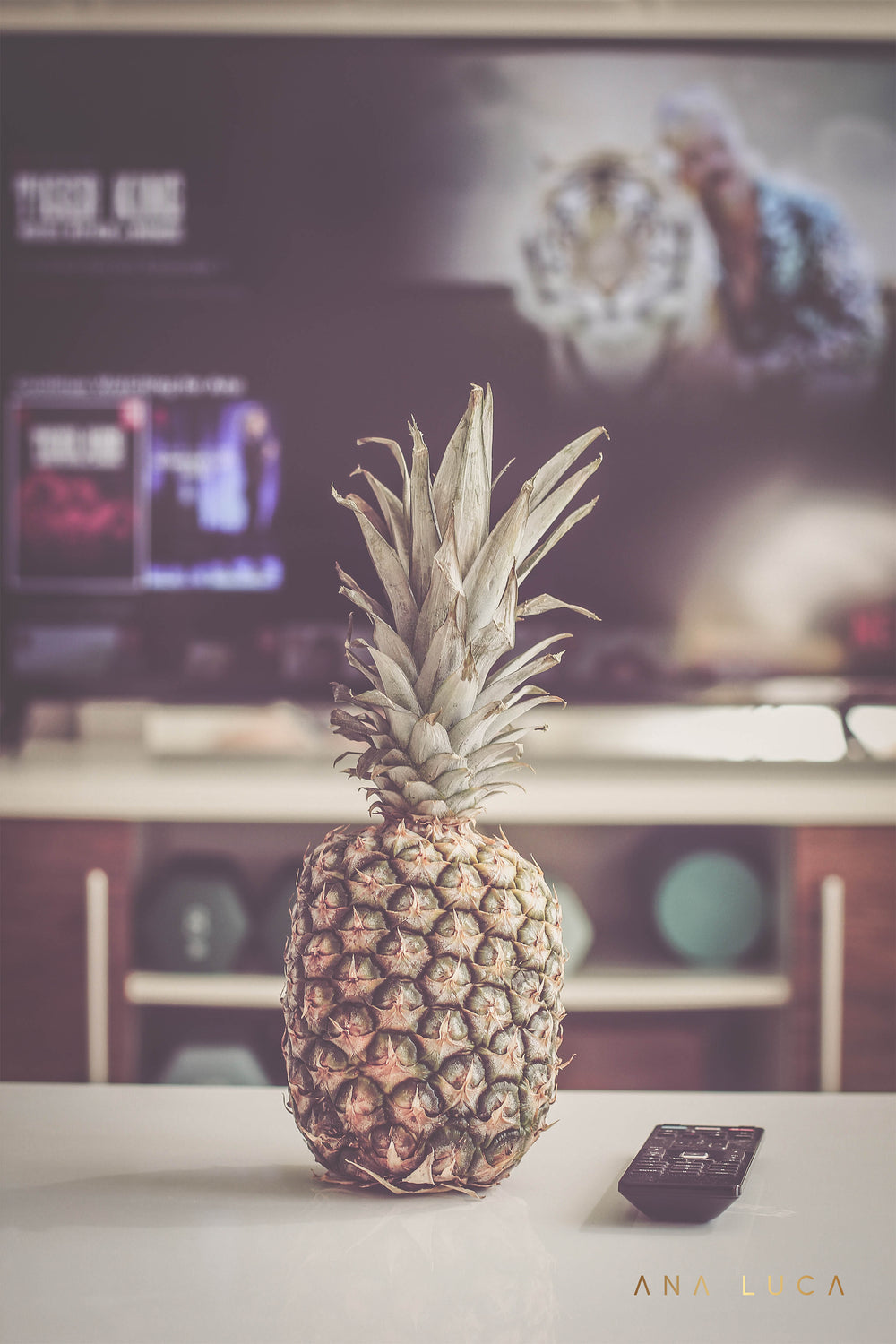 Pineapple Watching TV Art by Ana Luca